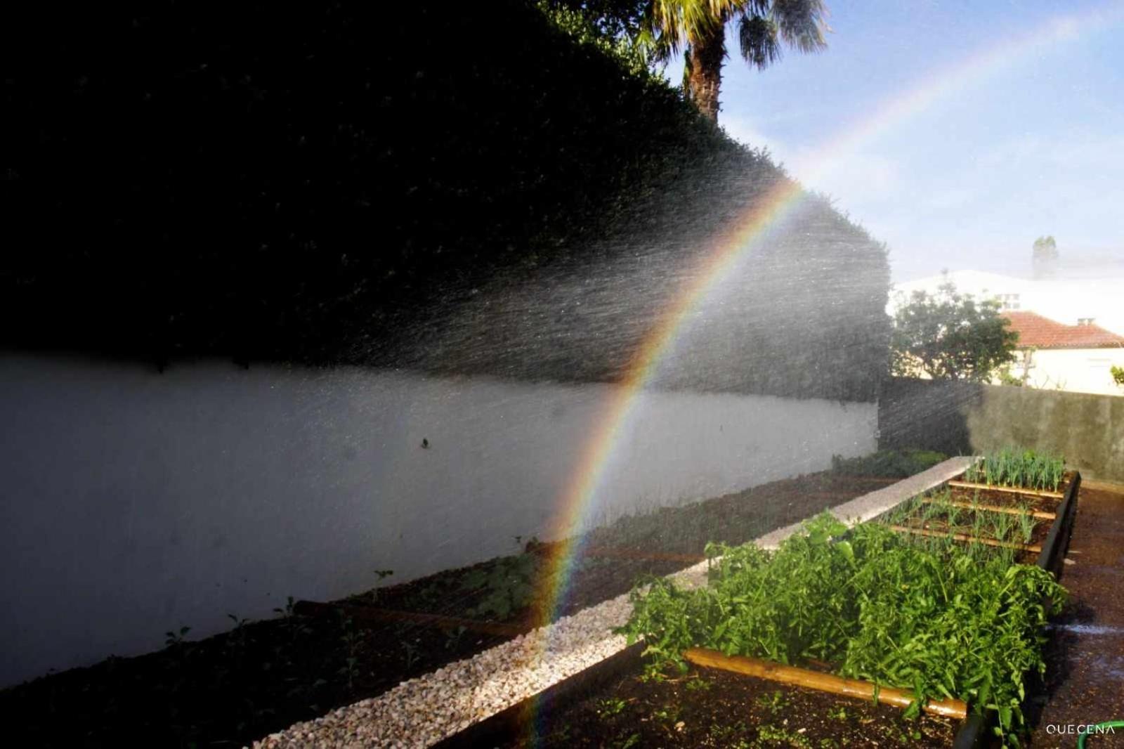 Currais O Pequeno Paraiso Entre O Mar E A Serra Aveiro Exterior foto