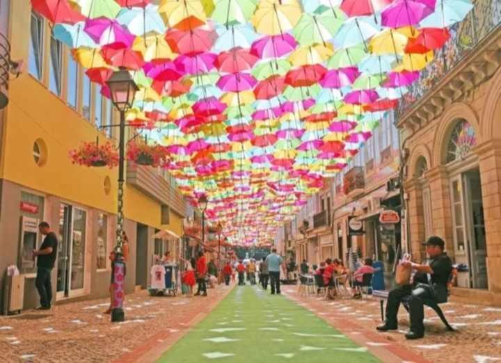 Currais O Pequeno Paraiso Entre O Mar E A Serra Aveiro Exterior foto